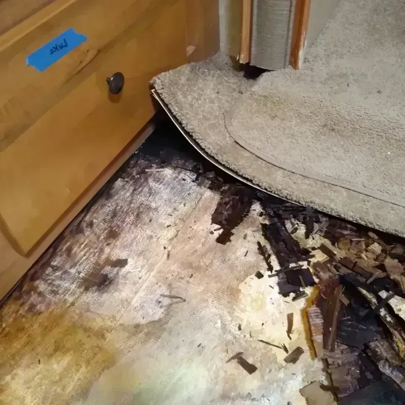 Wood Floor Water Damage in Estero, FL